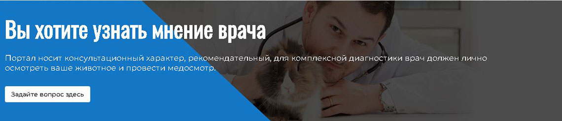 Задать вопрос врачу
