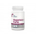 VetExpert Hepatiale Forte Large Breed, пищевая добавка для собак, 40 таблеток