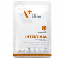 Vet Expert Hrană veterinară umedă pentru pisici VetExpert VetExpert Intestinal