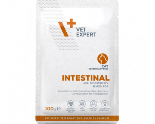 Vet Expert Hrană veterinară umedă pentru pisici VetExpert VetExpert Intestinal