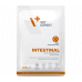 Vet Expert Hrană veterinară umedă pentru pisici VetExpert VetExpert Intestinal