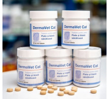 VetExpert Dermavet cat 90 mini tablete