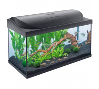 Аквариум Tetra Starter Line LED 105 л