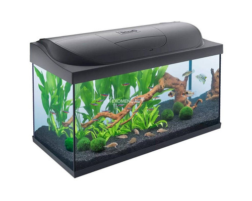Аквариум Tetra Starter Line LED 105 л