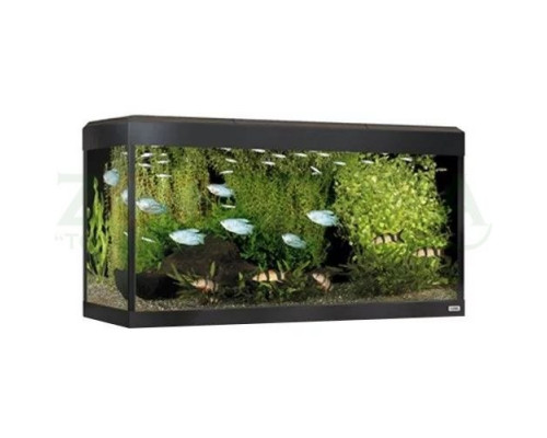 Hagen Fluval Roma 240