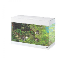 Acvariu DUBAI 80 LED  (125L)