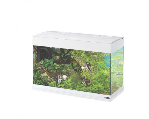 Acvariu DUBAI 80 LED  (125L)