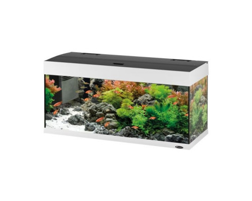 Acvariu DUBAI 100 LED ( 190L )