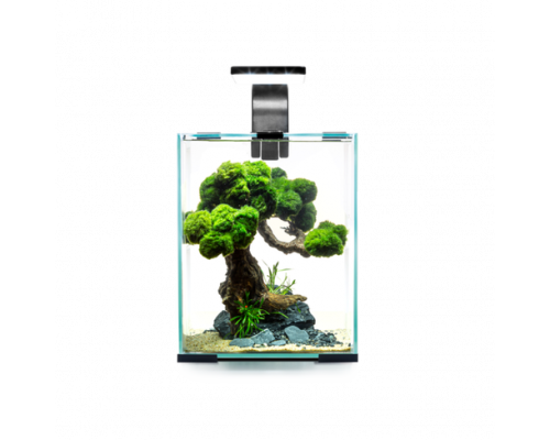 Aquael Acvariu SHRIMP SET SMART D&N 10