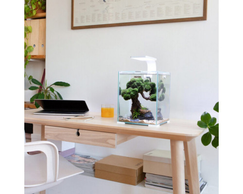 Aquael Acvariu SHRIMP SET SMART D&N 10