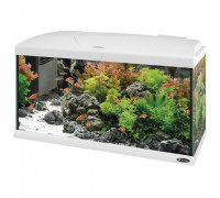 Acvariu CAPRI 80