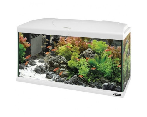 Acvariu CAPRI 80
