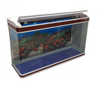 Аквариум D-1000S, с подсветкой и помпой, 100*31.5*58cm, (24022)