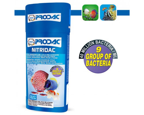 Prodac Nitridac 250 ml