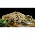 Exo Terra Turtle Bank Medium Магнитный плавающий островок для водных черепах (Medium)