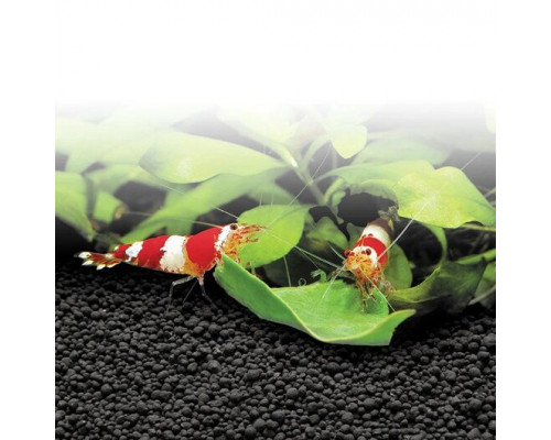 Hagen Fluval Plant & Shrimp Stratum 2 кг – питательный вулканический грунт для растений и креветок
