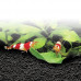 Hagen Fluval Plant & Shrimp Stratum 2 кг – питательный вулканический грунт для растений и креветок