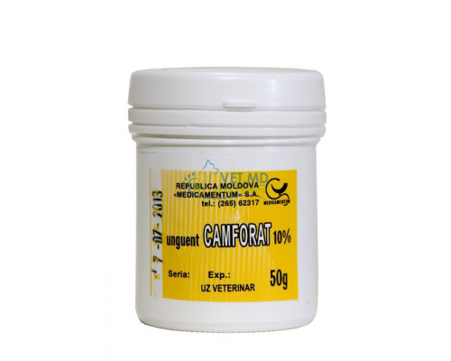 КАМФОРНАЯ МАЗЬ 10% , 70гр