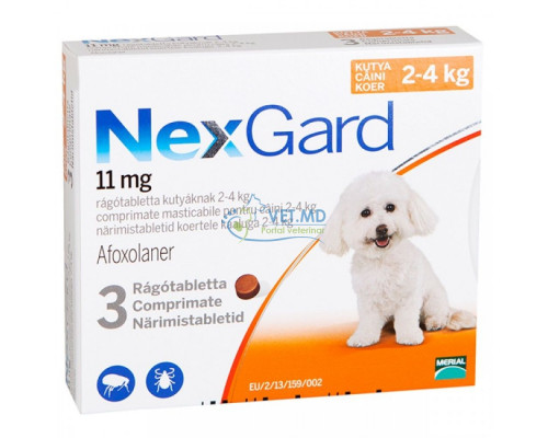 NexGard S для собак 2-4 кг, 1 таблеткa