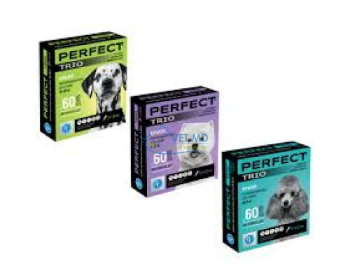 PerFect Trio dog