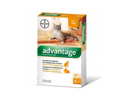 Advantage противопаразитарная пипетка 40 мг для кошек и кроликов до 4 кг