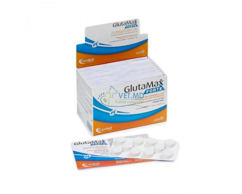 Glutamax forte 10 tablete