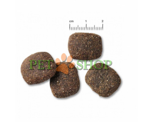 Belcando Adult GF Ocean 12.5 kg беззерновой корм для собак с океанической рыбой
