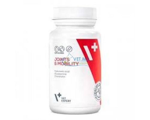 JOINT & MOBILITY
