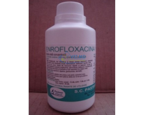 энрофлоксацин 10 % - 50 ml