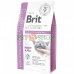 Brit GF Veterinary Diet Cat  Ultra-hypoallergenic 5 kg для кошек