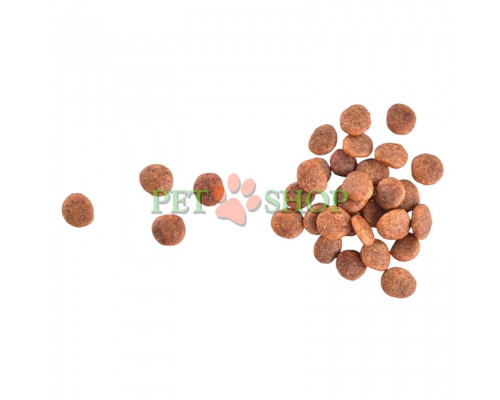 Brit Care Cat Grain-Free Large Cats power and vitality 7 kg