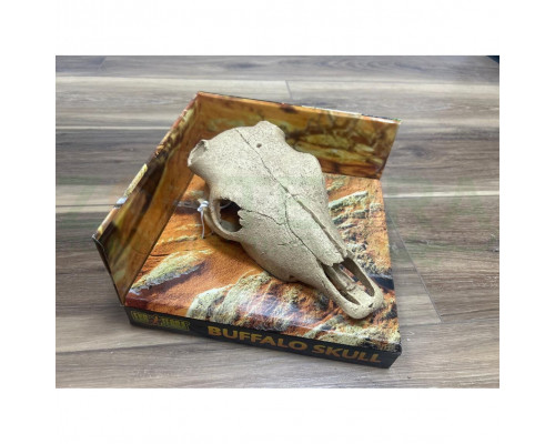 Exo Terra Buffalo Skull Натуральное укрытие «Череп буйвола» для террариума