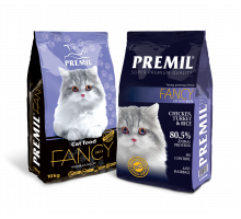 ФЭНСИ / FANCY