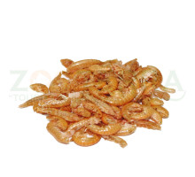 Prodac Tartafood 4 gr