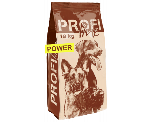 POWER (ПАУЕР)
