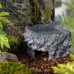 Exo Terra Corner Cave Medium Керамическое угловое влажное укрытие (Medium)