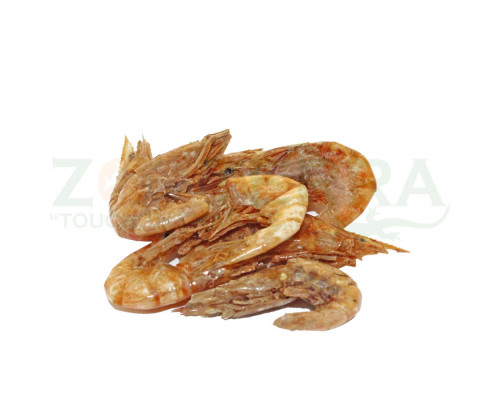 Prodac Tartafood Big 1200 ml / 150 gr
