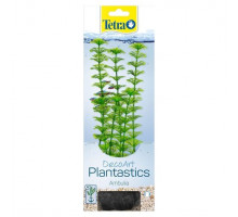 Tetra Plant Ambulia L 30 cm