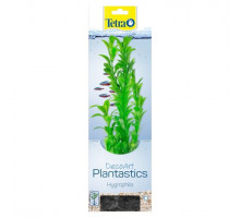 Tetra Plant Hygrophila M 23 cm