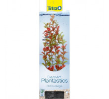 Tetra Plant Red Ludwigia L 30 cm