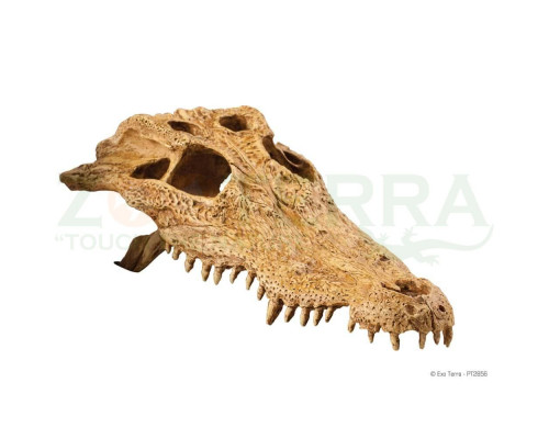 Exo Terra Crocodile Skull Натуральное укрытие «Череп крокодила» для террариума