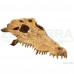 Exo Terra Crocodile Skull Натуральное укрытие «Череп крокодила» для террариума