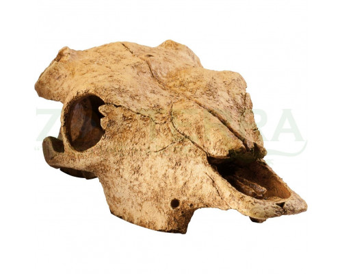 Exo Terra Buffalo Skull Натуральное укрытие «Череп буйвола» для террариума