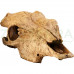 Exo Terra Buffalo Skull Натуральное укрытие «Череп буйвола» для террариума