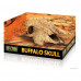 Exo Terra Buffalo Skull Натуральное укрытие «Череп буйвола» для террариума