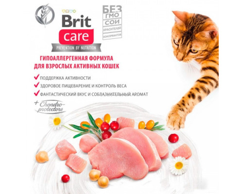 Brit Care Cat Grain-Free Adult Activity Support 2 kg