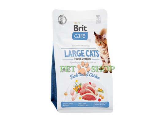 Brit Care Cat Grain-Free Large Cats power and vitality 2 kg