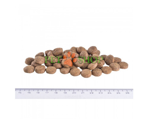 Brit GF Veterinary Diet Dog Obesity 2 kg для собак