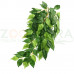 Exo Terra Ficus Medium (Silk Plant) Декоративное подвесное растение для террариума