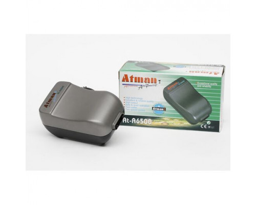 Atman AT-A6500